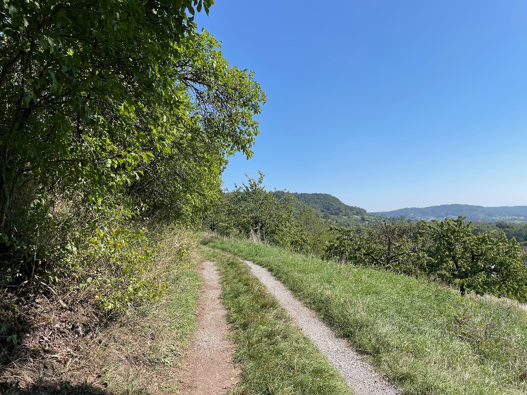 Der Halbhöhenweg über Kayh mit Blick auf Wiesen und Obstbäume